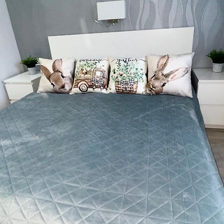 Downtown Dream Apartmans Szeged Eksteriør bilde