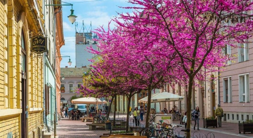 Downtown Dream Apartmans Szeged Eksteriør bilde