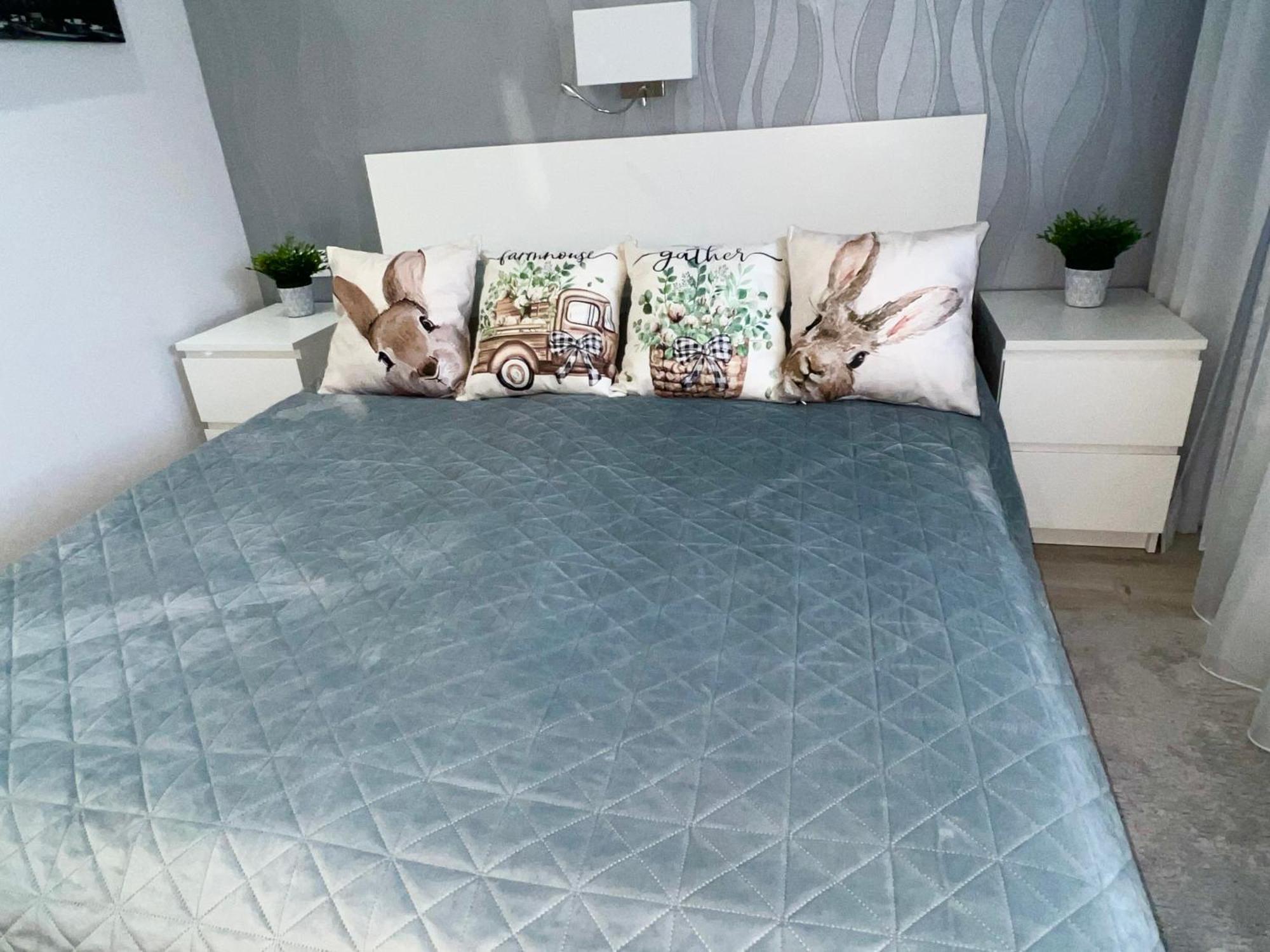 Downtown Dream Apartmans Szeged Eksteriør bilde